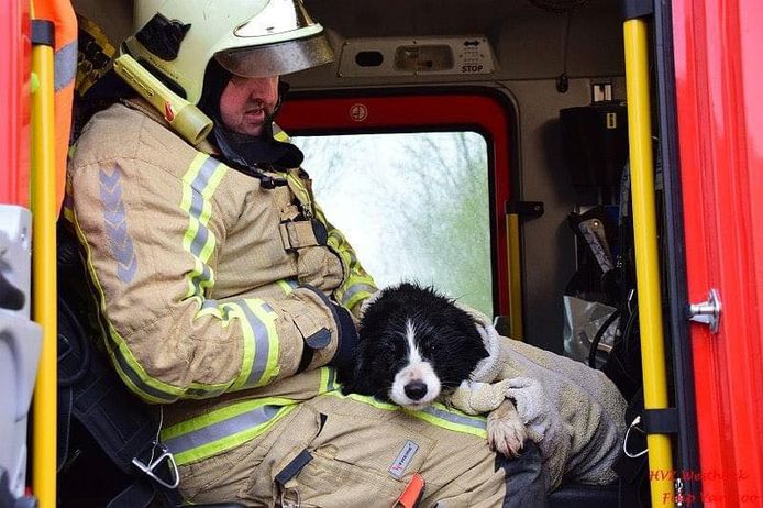 De hond in handen van een brandweerman.
