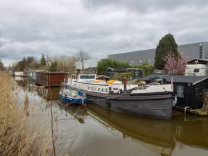 Bever in het kanaal bewijst woonbootbewoners dat het prima wonen is op Eindhovens industrieterrein, uitkoopregeling op losse schroeven? 