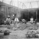 Essay: Bring home the looted Benin Bronzes