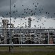 Groningen wil dat de gaswinning volledig stopt, dit jaar nog