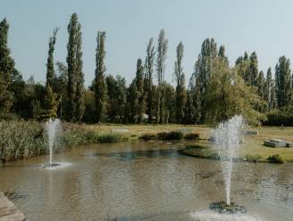 Park naast site van Coca-Cola in Wilrijk moet opgevangen regenwater teruggeven aan de natuur