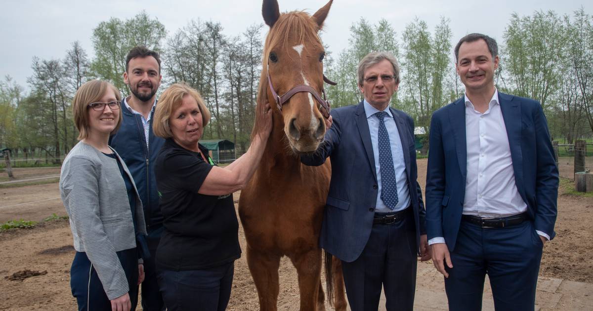 Alexander De Croo bezoekt The Old Horses Lodge Laarne hln.be