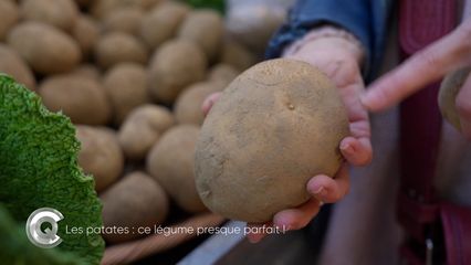 3. Les patates : ce légume presque parfait !
