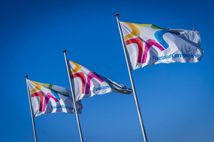 Vlaggen van zuivelconcern FrieslandCampina.