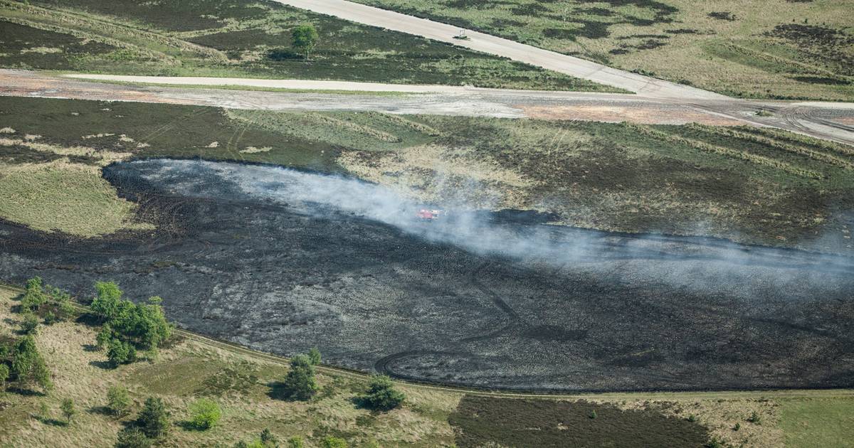Hoe een avondje stappen tien jaar geleden 200 hectare natuurgebied in