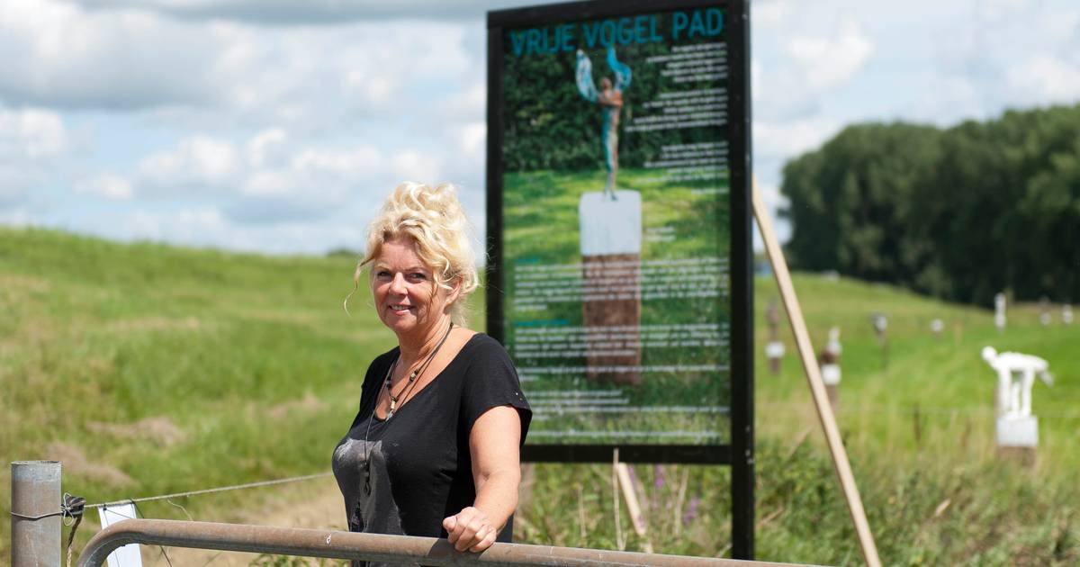 ‘Kunst met een knipoog’: ‘Ontspannen’ stilstaan bij corona en vrijheid in Welsum