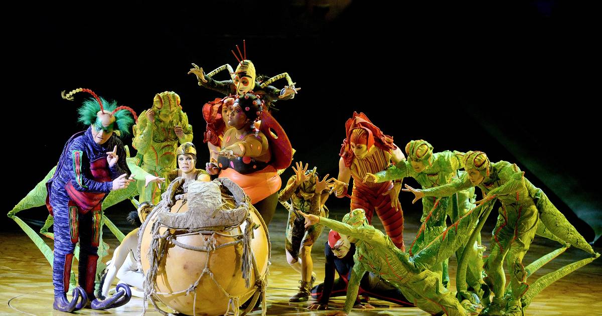 Experience ‘OVO’ by Cirque du Soleil at Lotto Arena in Antwerp: A Colorful Spectacle Directed by Deborah Colker