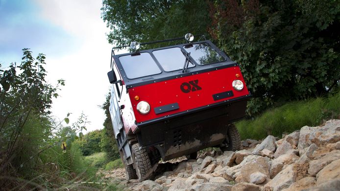 OX