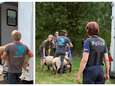 82 schapen voor Offerfeest in beslag genomen op boerderij nabij Luik