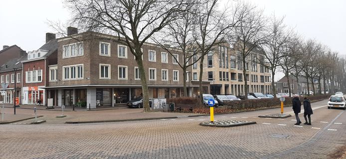 De zilveresdoorns langs de Kloosterstraat in Schijndel