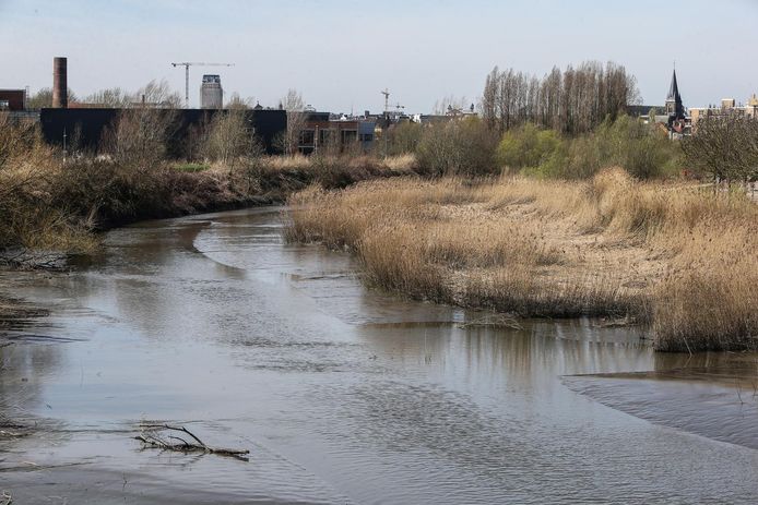 Geen Pleziervaart Op Oude Scheldemeander In Gentbrugge Wel Drie Fietsbruggen Over Die Rivier Gent Hln Be