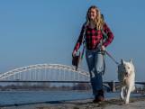Doe mee: Loop met Ellen de klimaatwandeling in Gelderland