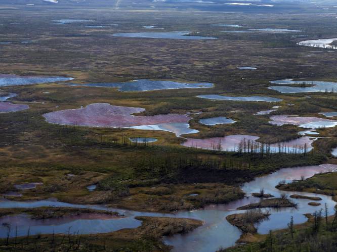 Mijnbouwgigant krijgt recordboete voor vervuiling in Russisch noordpoolgebied
