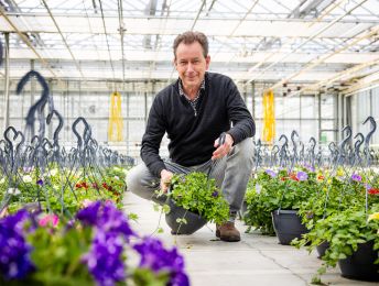 Het Ambachtse Florensis kweekt ruim een miljard jonge plantjes per jaar: ‘We bedienen heel Europa’