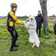 Dumoulin: ‘Er zit nog steeds een speciale renner in mij. Dat wil ik vaker tonen’