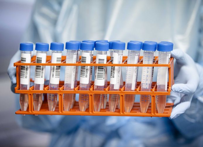 Een GGD-medewerker voert een coronatest uit.