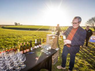 Fan van alpaca’s, bloesems of een gratis concert? Dit zijn onze tips voor het weekend in Limburg