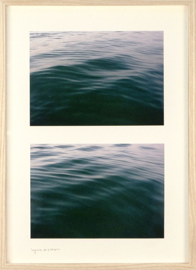 From the laguna of venice, a journal, 2014 (detail). Beeld Herman de Vries 