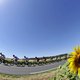 De complete startlijst van de Ronde van Frankrijk