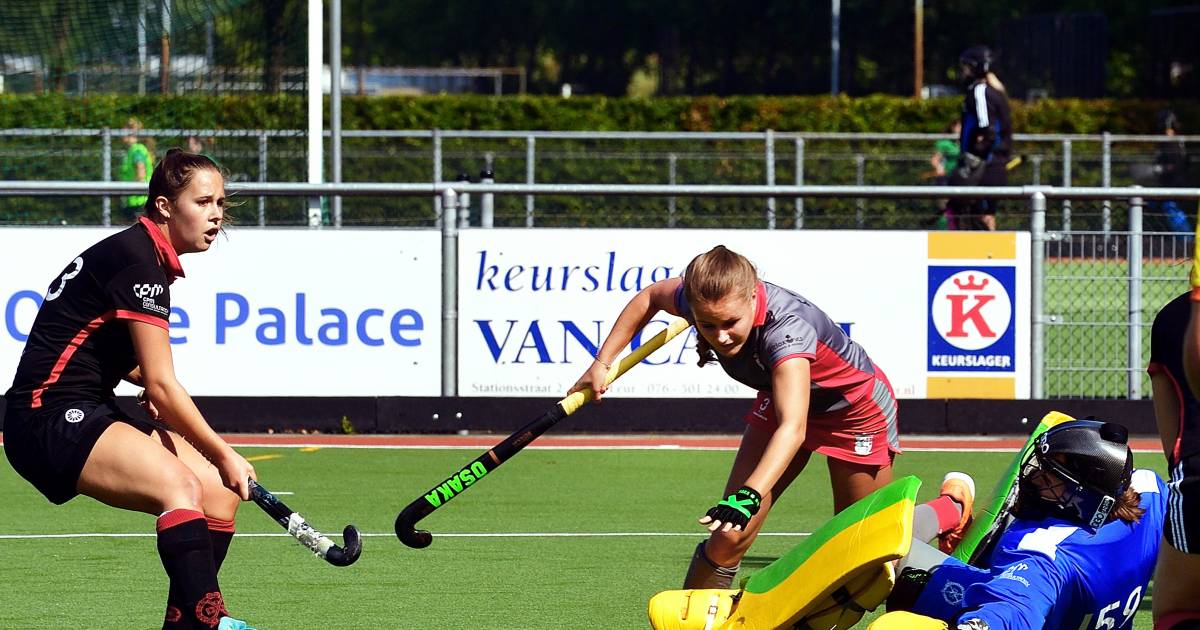 hockeyploegen warande hard onderuit etten leurse vrouwen doen zichzelf tekort regiosport bndestem nl