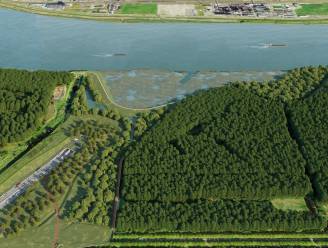 Milieuverenigingen krijgen ongelijk in zaak rond lozingsnormen Oosterweel