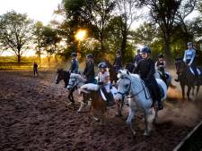 Een halve eeuw ponyrijden bij De Hinnikers in Oerle