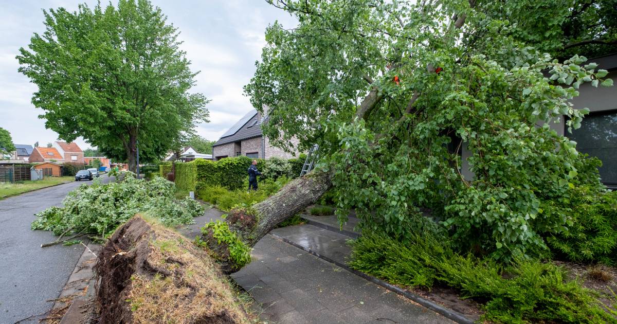 wateroverlast-of-stormschade-nummer-1722-voortaan-ook-bereikbaar-via