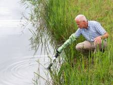 Verhoogde kans op blauwalg: hoe bedwing je de giftige drab?