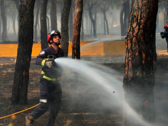 Europa bereidt zich voor op “bosbrandenseizoen”: 556 brandweerlui op verschillende risicolocaties