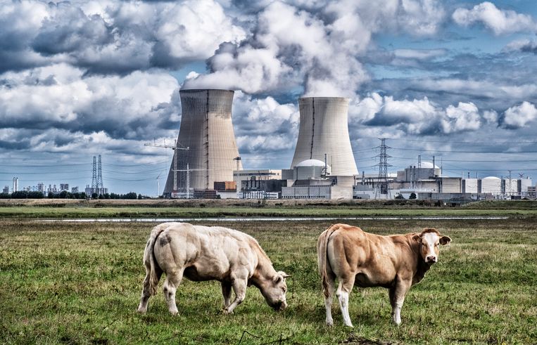 Kerncentrale van Doel. Beeld Tim Dirven
