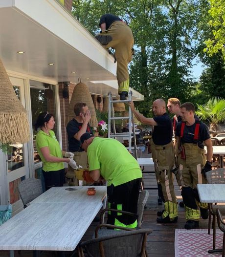 Brandweer bevrijdt egel uit spouw van The Foodclub in Enschede