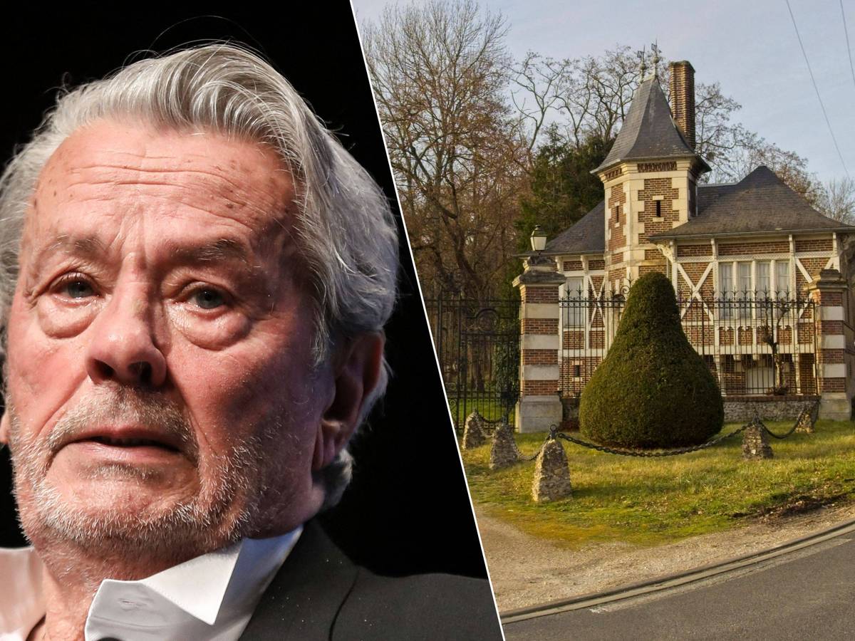 Ruim 70 wapens in beslag genomen tijdens huiszoeking bij Franse acteur Alain  Delon | Celebrities | hln.be