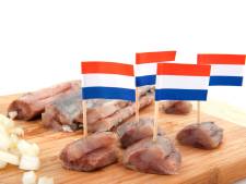 Haringtest: van topkwaliteit tot 'onverkoopbaar' in West-Brabant
