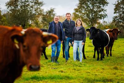 Naast koeien ook zorg, recreatie, camping en horeca: Beleefboerderij in Riel wil ‘logische’ landbouw