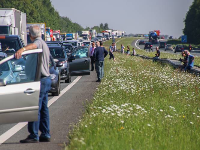 De Fryske Marren AD.nl