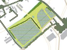 Rechter buigt zich over Solarpark de Mun in Oss: ‘Geen spoor van dassen’