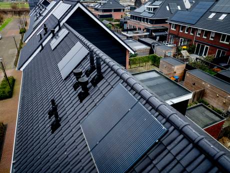 Schoenenzaak oss 2025