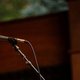 Concertreview: Jeff Tweedy in OLT Rivierenhof