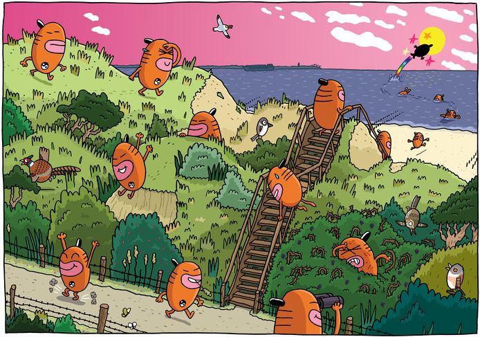 Kayeko aan de Westerschelde