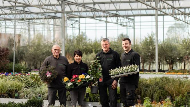 Bloemenhuis Van Hove viert 50-jarig bestaan: “Begonnen met een marktkraam en nu een tuincentrum van 15.000 vierkante meter”