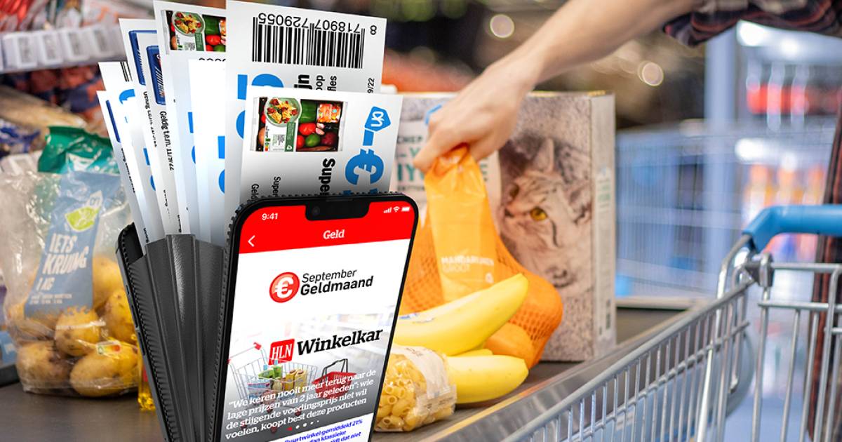 Save Money on Groceries with September Money Month Discount Coupons at Albert Heijn