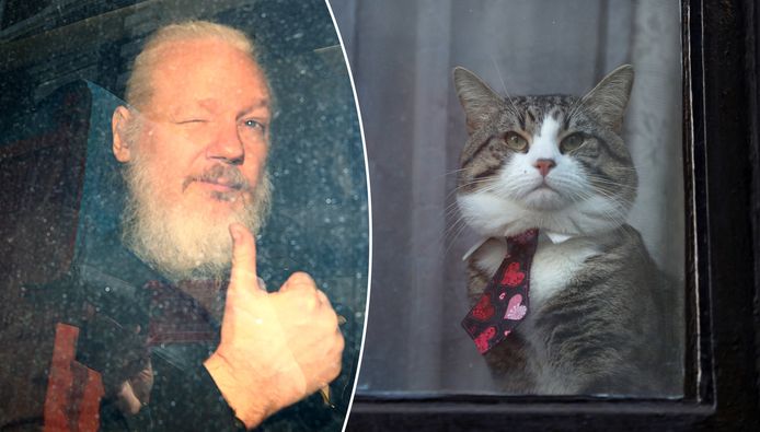 Julian Assange bij zijn arrestatie. Rechts zijn kat achter het raam van de ambassade.