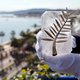 167 diamanten sieren Gouden Palm 70ste Filmfestival Cannes