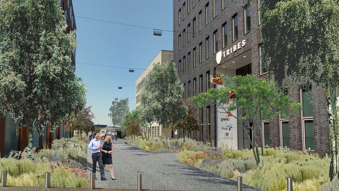 Zo gaan de 'straatjes' tussen de kantoorkolossen op Flight Forum in Eindhoven eruit zien. Het werk is deze week begonnen.
