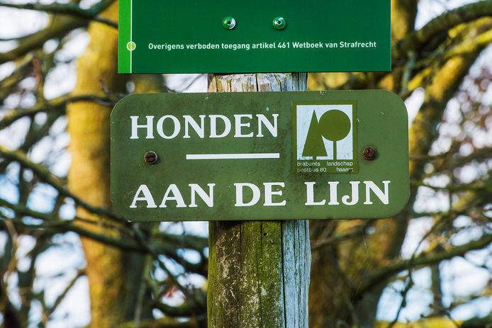 In veel natuurgebieden is het verboden om honden los te laten lopen. Alleen bij de Regte Heide in Riel is een stukje waar ze niet aan de lijn hoeven.