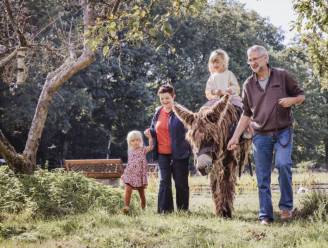 Tocht met ezel van vakantieboerderij uit Halle-Zoersel genomineerd voor ‘Wandeling van het Jaar’