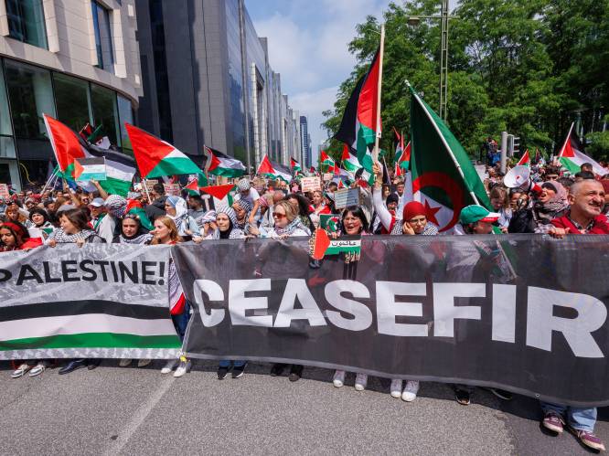 Opnieuw betoging in Brussel tegen geweld in Gaza: duizenden manifestanten eisen staakt-het-vuren