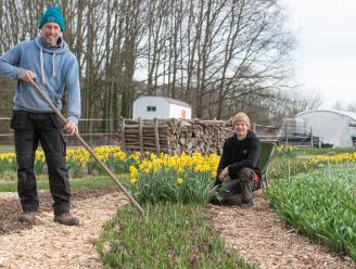 NET OPEN. Zelfplukboerderij Laurences Moestuin zwaait het hek open voor het publiek