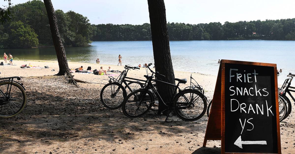 Aanpak blauwalg Radioplassen: nieuwe zwemoever, damwand of zuiginstallatie - De Gelderlander