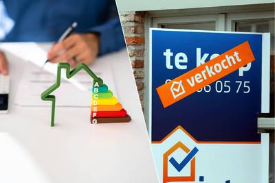 EPC-deskundigen getuigen anoniem: “Er lopen veel cowboys rond”